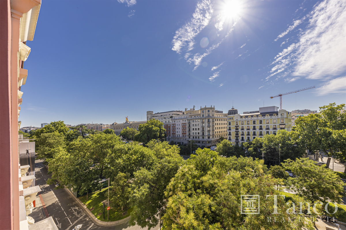 Piso Alquiler sin piso en venta de referencia